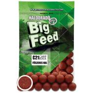 HALDORÁDÓ Big Feed - C21 Boilie - Fűszeres hal 700 gr