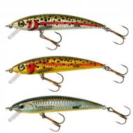 REBEL Tracdown Ghost Minnow - Pack